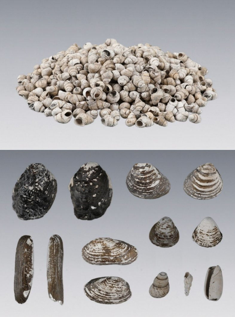 Phát hiện này không chỉ định nghĩa lại lịch sử tiền sử khu vực, mà còn mang đến những cái nhìn chưa từng có về nguồn gốc của nền văn minh sông Dương Tử. Ảnh: @DailyBeijing.