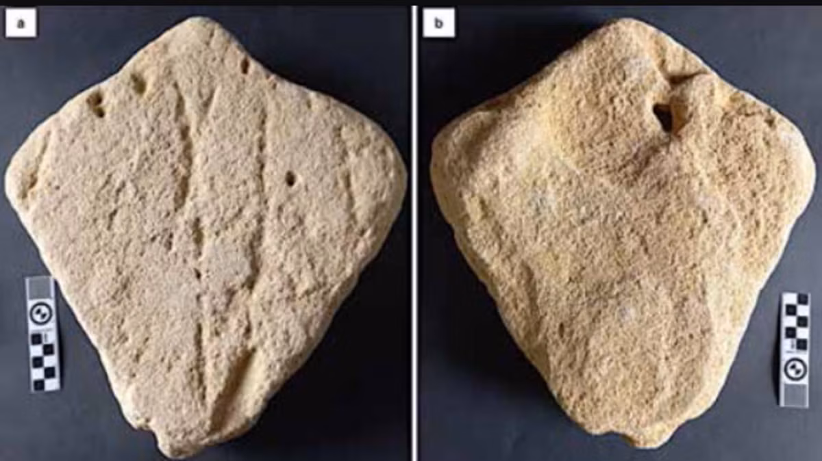 Vật thể được đề cập này ban đầu bị nhầm là một tảng đá đối xứng, nhưng sau đó đã được một nhóm chuyên gia kiểm tra lại và họ suy đoán rằng, tảng đá này có thể đại diện cho một tác phẩm điêu khắc cát thời tiền sử về một con cá đuối gai độc. Ảnh: @Helm.