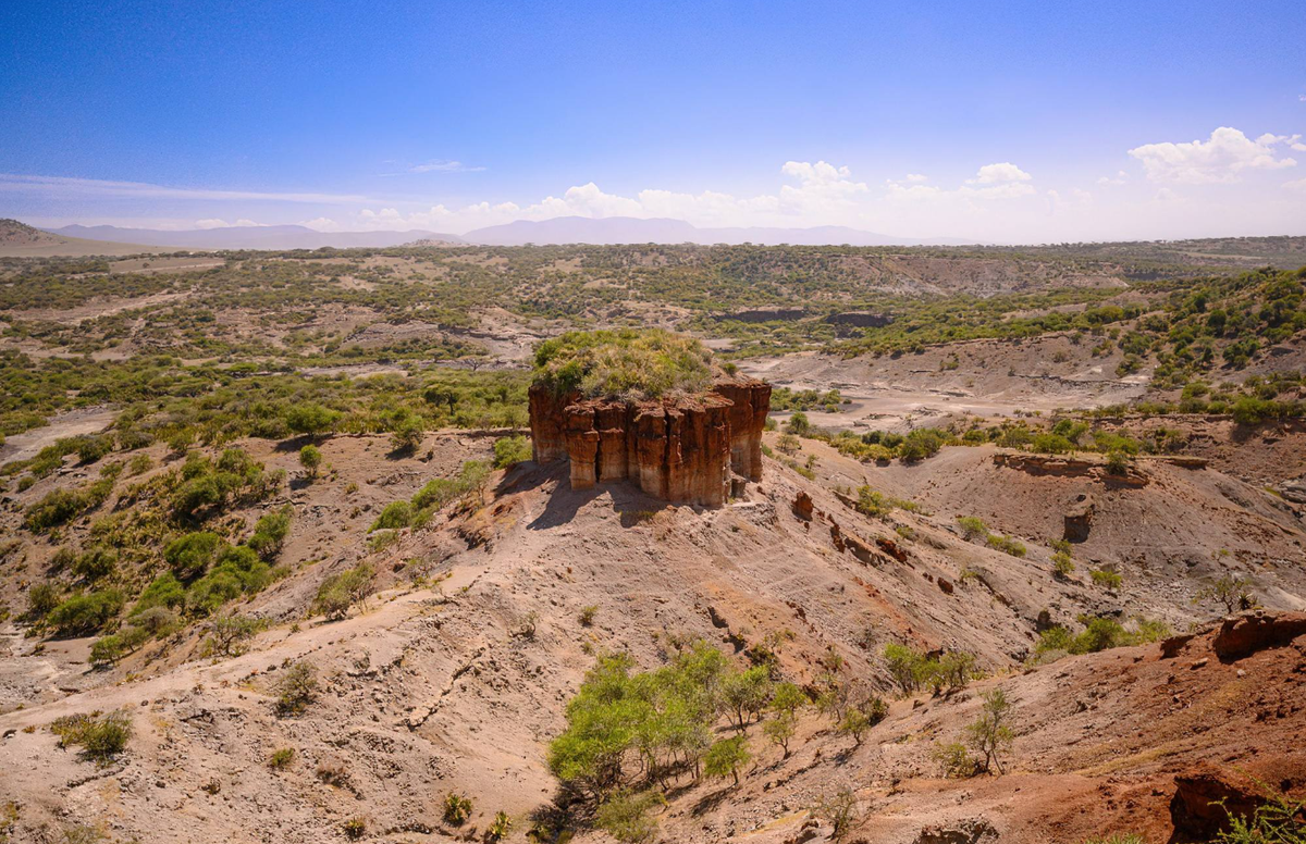 Nguồn gốc của các công cụ bằng xương liên quan đến tổ tiên loài người có thể được truy ngược lại ít nhất từ 250.000 đến 500.000 năm trước. Ảnh: @Hội đồng Nghiên cứu Quốc gia Tây Ban Nha.