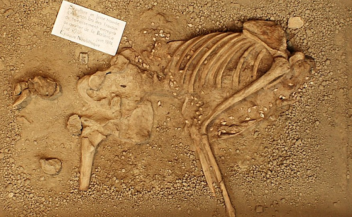 Bên trong ngôi mộ cổ này chứa hài cốt của một người đàn ông trưởng thành. Ảnh: @Đại học Bordeaux Montaigne.