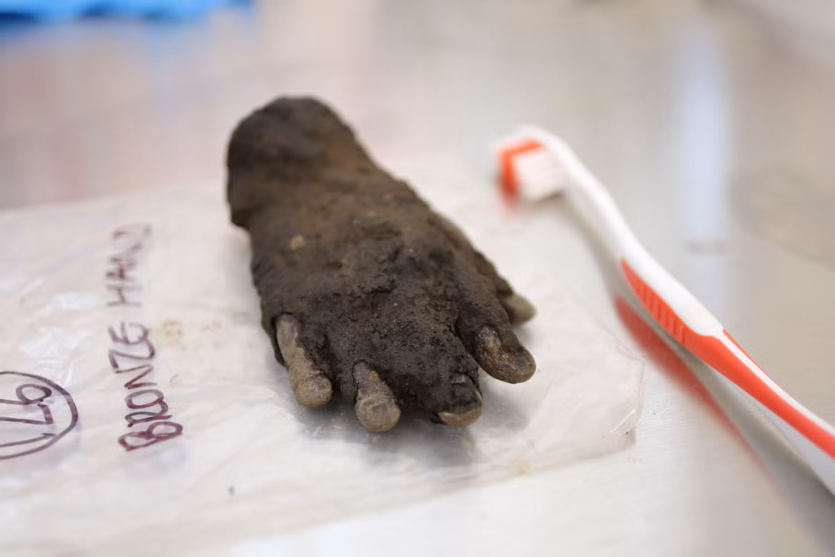 Đó là một bàn tay bằng đồng nằm sâu 1,5 mét dưới mặt đất trong một rãnh đất từ ​​thời Severan (khoảng năm 208-212 Sau Công Nguyên. Ảnh: @Bảo tàng Vindolanda.