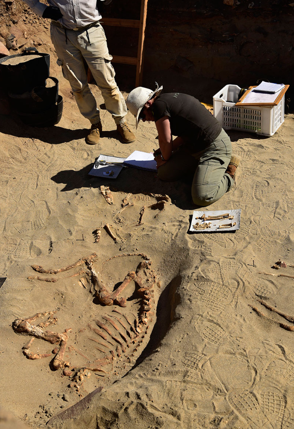 Cách đây 4.000 năm trước, khỉ được nuôi làm thú cưng tại Iran. Ảnh: @Cơ Quan Cổ Vật Iran.