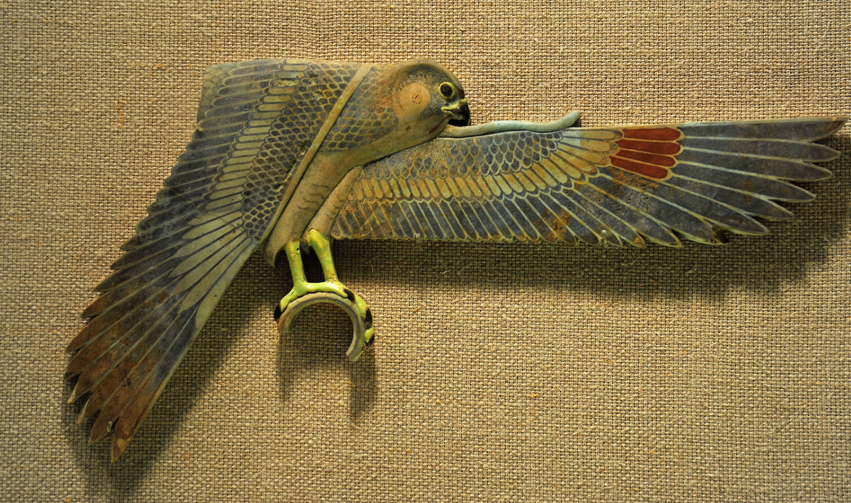 Nghiên cứu này lần đầu tiên đưa ra bằng chứng mạnh mẽ về việc người Ai Cập cổ đại nuôi nhốt các loài chim săn mồi, với khả năng họ cũng đã thiết lập một chương trình nhân giống trong điều kiện nuôi nhốt, ưu tiên cung cấp chim trống hơn chim mái. Ảnh: @Đại học Cairo.