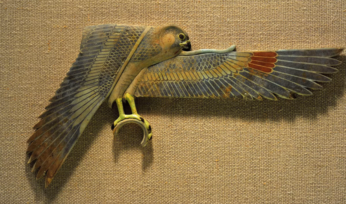 Nghiên cứu này lần đầu tiên đưa ra bằng chứng mạnh mẽ về việc người Ai Cập cổ đại nuôi nhốt các loài chim săn mồi, với khả năng họ cũng đã thiết lập một chương trình nhân giống trong điều kiện nuôi nhốt, ưu tiên cung cấp chim trống hơn chim mái. Ảnh: @Đại học Cairo.