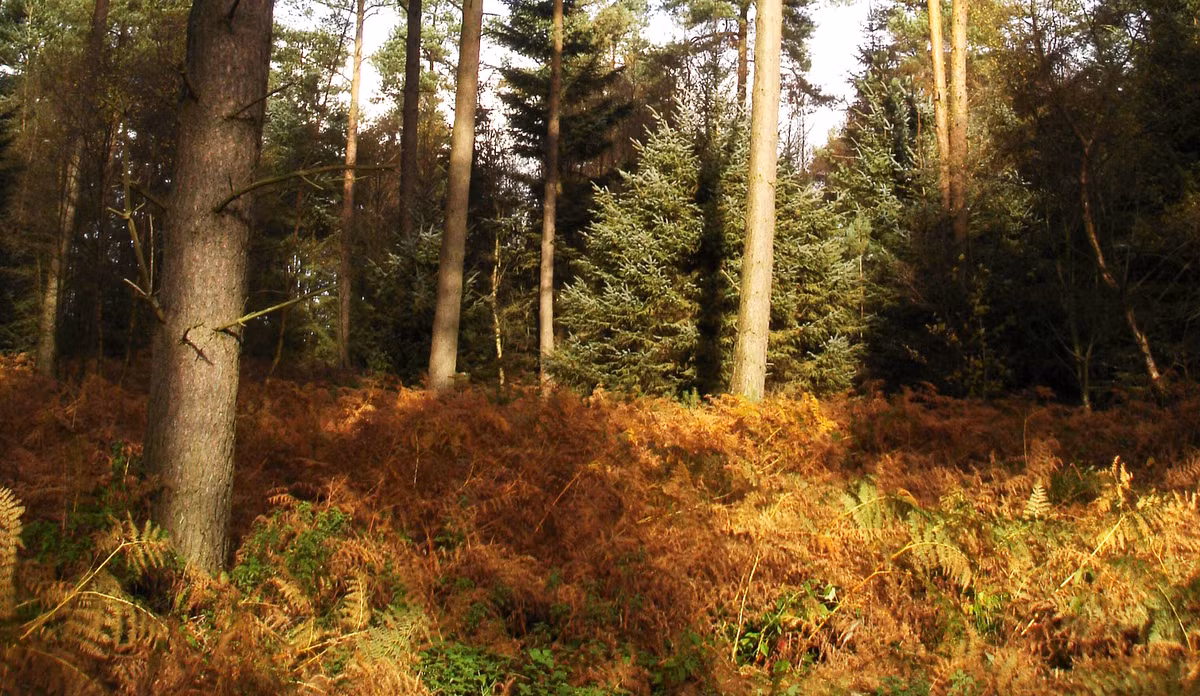 Từ trước tới nay, khu vực sườn núi gần Bridlington, nước Anh được đồn đại là nơi có hoạt động của Người Sói bí ẩn. Ảnh: @Wikipedia.