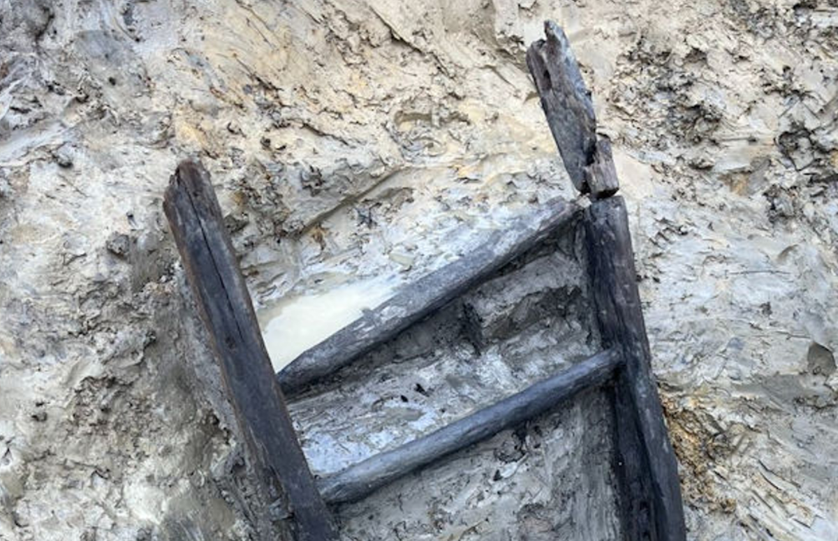 Tình trạng bảo tồn đặc biệt của chiếc thang đã mang đến cho các nhà khảo cổ một cái nhìn hiếm hoi về cuộc sống gia đình người bản địa cổ xưa. Ảnh: @Bảo Tàng Quốc Gia Anh.