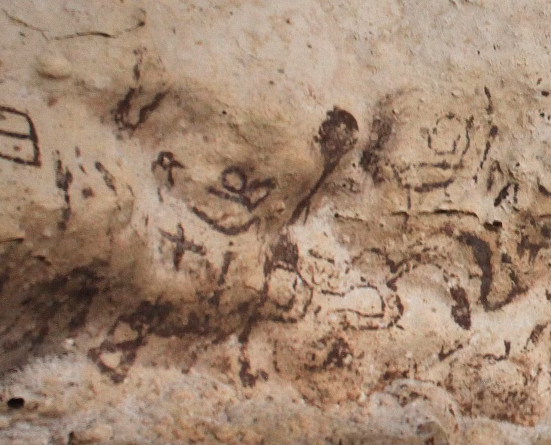 Sự phong phú và kỳ lạ của các họa tiết này thật đáng chú ý so với các bức tranh hang động từng được tìm thấy ở Mexico. Ảnh: @Viện Nhân chủng học và Lịch sử Quốc gia Mexico.