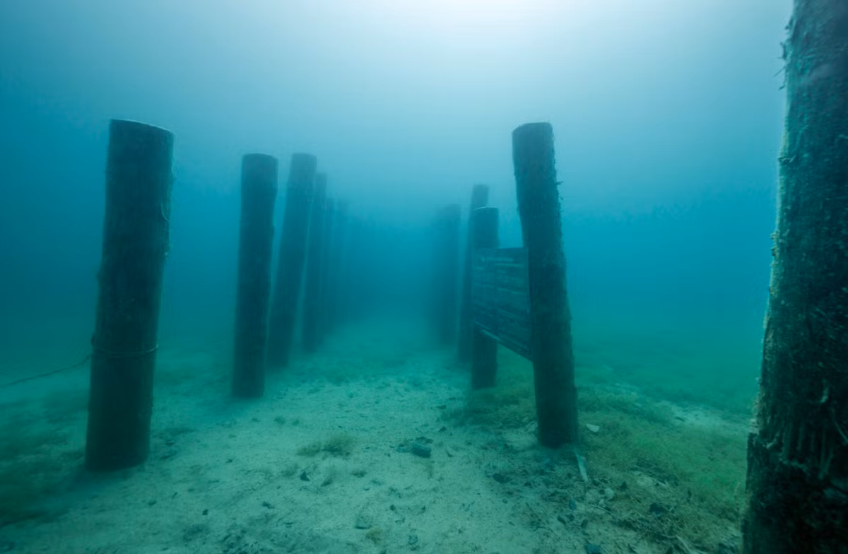 Ngoài ra, các chuyên gia còn tìm thấy 600 cọc gỗ nhô ra từ đáy hồ giàu đất sét, bao phủ khoảng một phần ba diện tích của ngôi làng này. Ảnh: @Bảo Tàng Quốc Gia Ý.