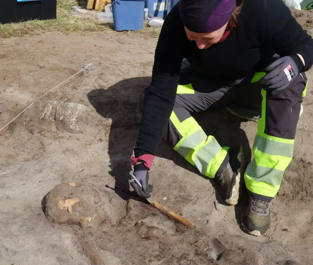 Con thuyền này mang hình dáng hiền hòa, tĩnh lặng. Nó vừa là thân xác, vừa là vật chứa hài cốt người. Ảnh: @Bảo tàng Đại học Bắc Cực của Na Uy.