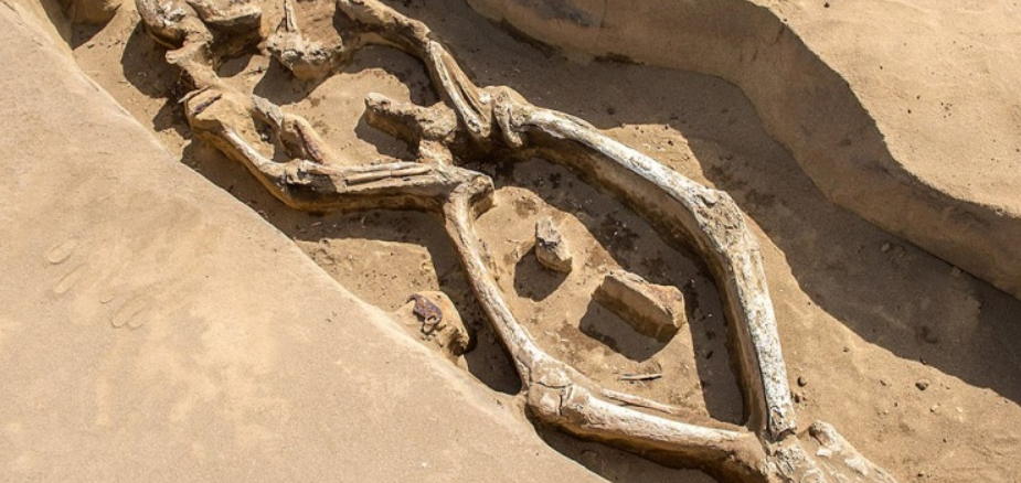 Ông là người Mikail được cho là thuộc bộ tộc Mohe, một nhóm dân tộc Tungus, nhưng cần các nghiên cứu chuyên sâu thêm để xác nhận điều này. Ảnh: @Denis Volkov.