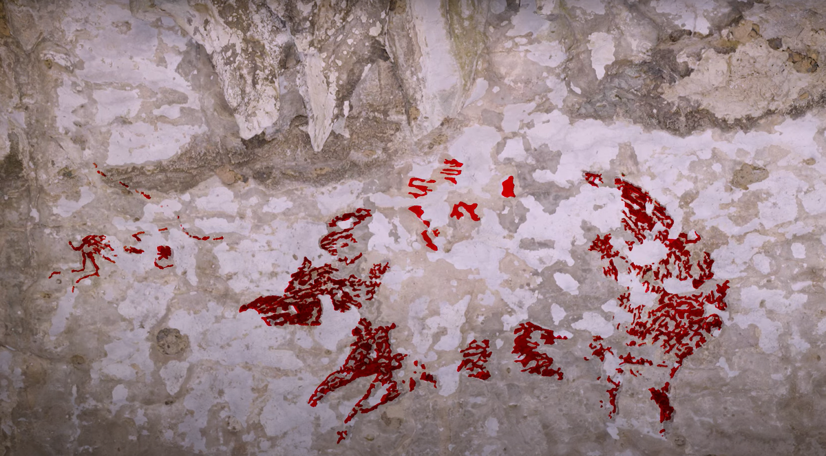 Những người này đang tìm cách giết hoặc bắt sáu con thú có vú đang bỏ trốn, gồm hai con lợn đốm Sulawesi và bốn con trâu lùn được gọi là anoas. Ảnh: @Đại học Griffith.