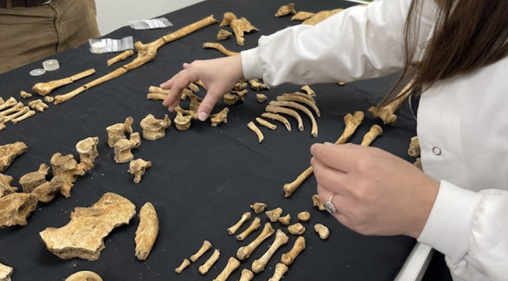 Theo Tiến sĩ Andy Seaman, nghĩa trang này chứa tới 80 ngôi mộ, một số trong số đó được chôn cất trong tư thế khom người. Đây có thể là bằng chứng khác về một nghi lễ chôn cất kỳ lạ đã được thực hiện. Ảnh: @Dr Andy Seaman.