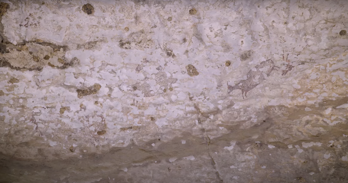 Vị trí của bức tranh hang động mới được phát hiện, cách mặt đất khoảng 6,4 mét, ở một vị trí mà du khách thông thường khó có thể tiếp cận được, nếu không có thang hoặc thiết bị leo trèo. Ảnh: @Đại học Griffith.