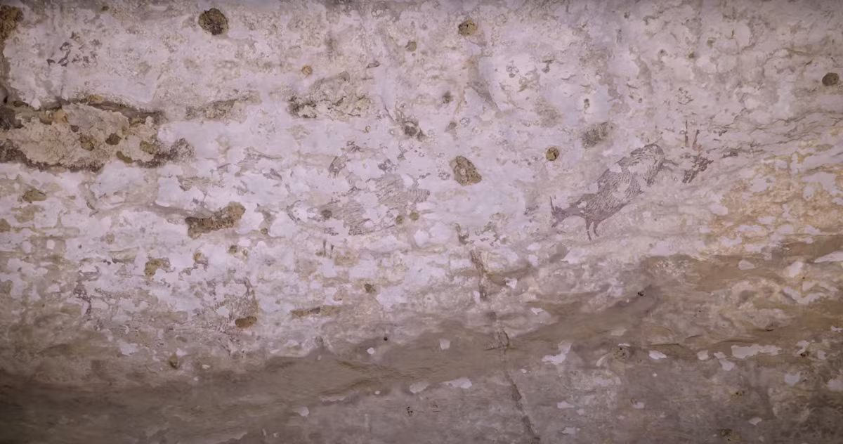 Vị trí của bức tranh hang động mới được phát hiện, cách mặt đất khoảng 6,4 mét, ở một vị trí mà du khách thông thường khó có thể tiếp cận được, nếu không có thang hoặc thiết bị leo trèo. Ảnh: @Đại học Griffith.