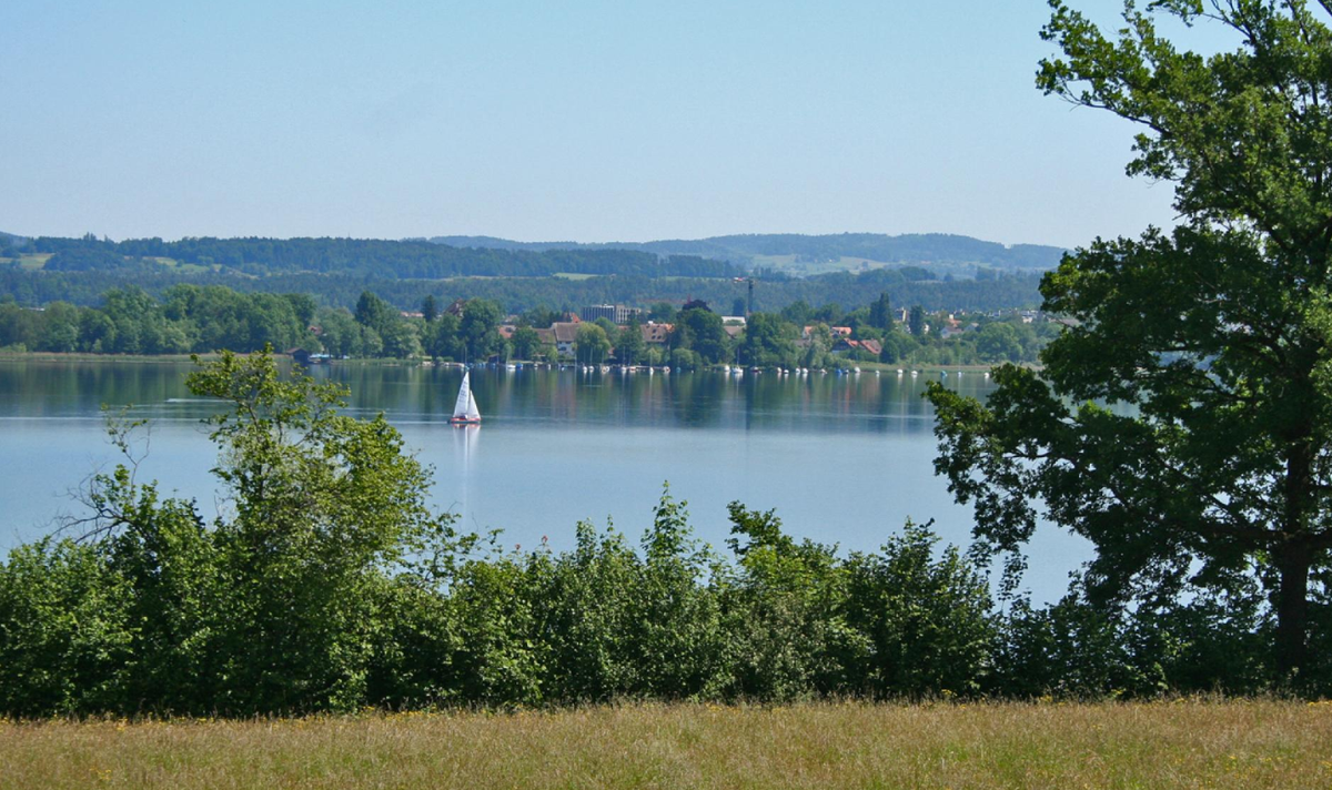 Vốn dĩ, những ngôi nhà cổ thuộc Thời Kỳ Đồ Đá nằm trên bờ hồ Greifensee ở vùng Zurich, Thụy Sĩ là một trong những di chỉ khảo cổ quan trọng nhất của Châu Âu. Ảnh: @hãng tin SDA-ATS.