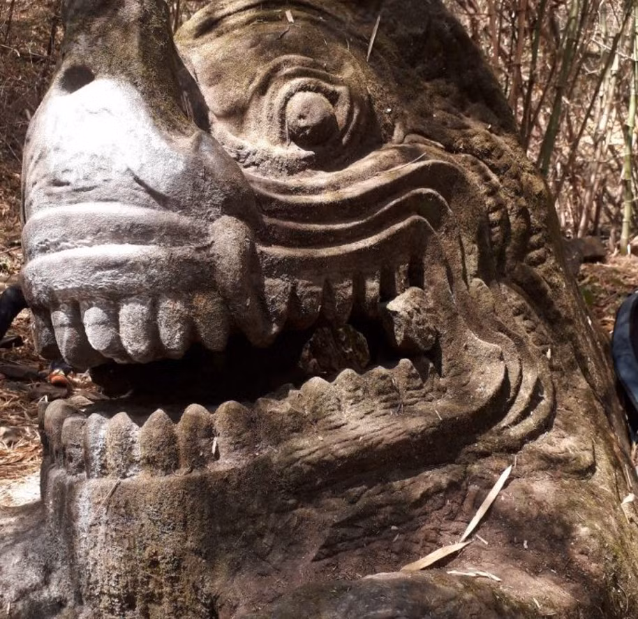 Đầu sinh vật này chạm khắc trực tiếp trên tảng đá sa thạch khổng lồ. Ảnh: @Khmer Post.