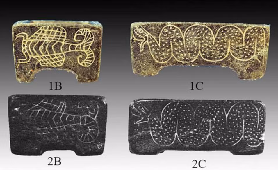 Chúng bao gồm các vật dụng như ghim cài bằng ngà voi, nhẫn vàng, khuyên tai vàng, đồ đồng, đồ đá làm từ clorit, lapis lazuli, serpentin và đá vôi, và các đồ gốm khác. Ảnh: @Raffaele Biscone.