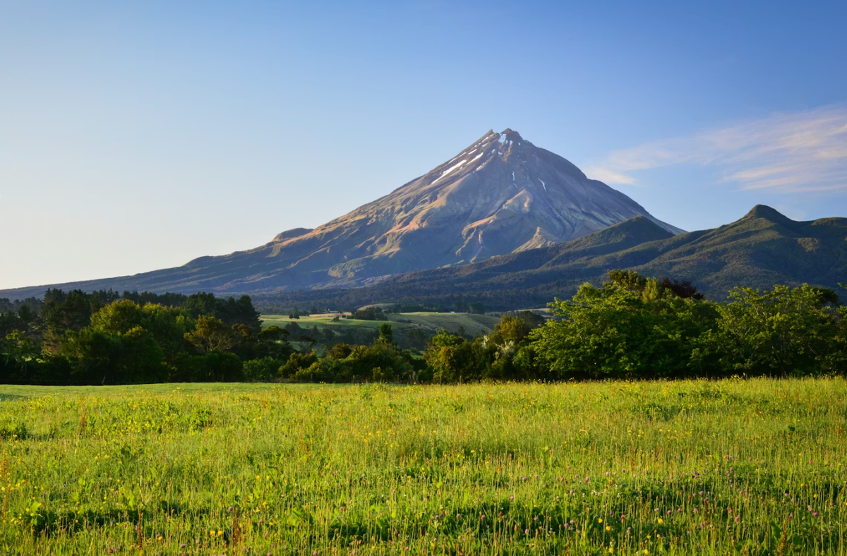 Tại Aotearoa của New Zealand, các chuyên gia đến từ Bảo tàng Phương Đông thuộc trường Đại học Durham bất ngờ tìm thấy một vật thể lạ độc đáo. Ảnh: @Đại học Durham.