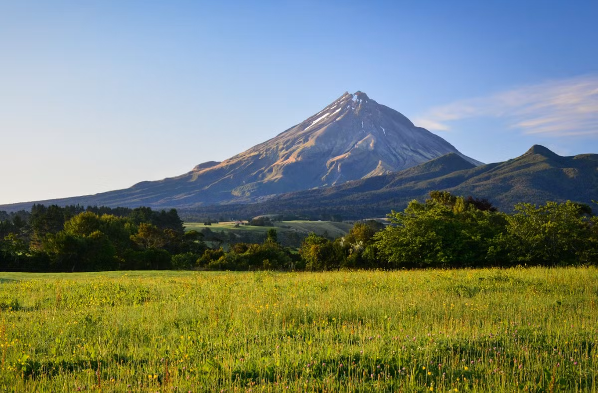 Tại Aotearoa của New Zealand, các chuyên gia đến từ Bảo tàng Phương Đông thuộc trường Đại học Durham bất ngờ tìm thấy một vật thể lạ độc đáo. Ảnh: @Đại học Durham.