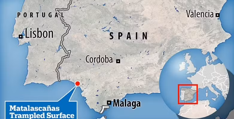 Clive Finlayson, một nhà sinh vật học tiến hóa tại Bảo tàng Quốc gia Gibraltar, cho biết địa điểm ven biển giàu dấu chân này (mà các nhà khoa học gọi là Bề mặt bị giẫm đạp Matalascañas), trước đây nó thường bị bao phủ bởi cát. Ảnh: @Neto de Carvalho.