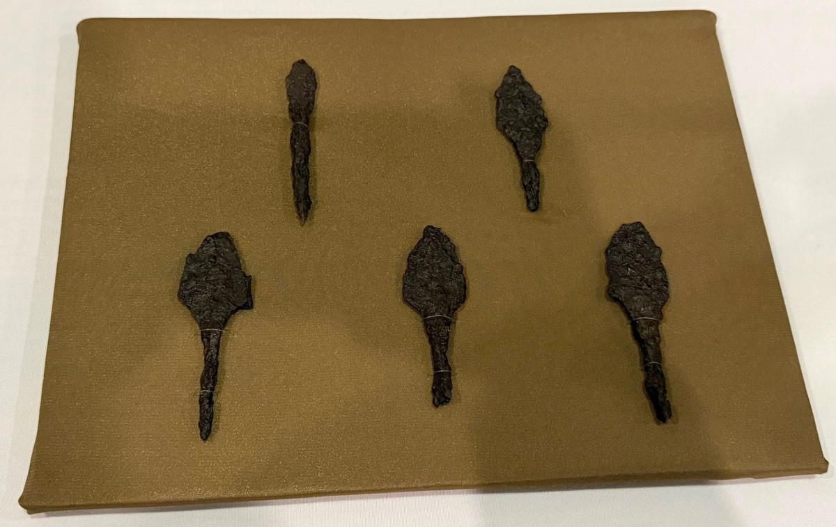 Cấp bậc của ông được đánh dấu bằng sự hiện diện của một tấm gắn kiếm bằng bạc, một vật trang trí được tán đinh ở phía trước túi da mà các chiến binh mang theo để đựng dụng cụ tạo lửa. Bộ yên cương của ngựa được trang trí công phu với các phụ kiện bằng bạc mạ vàng. Ảnh: @Bảo tàng Quốc gia Hungary.