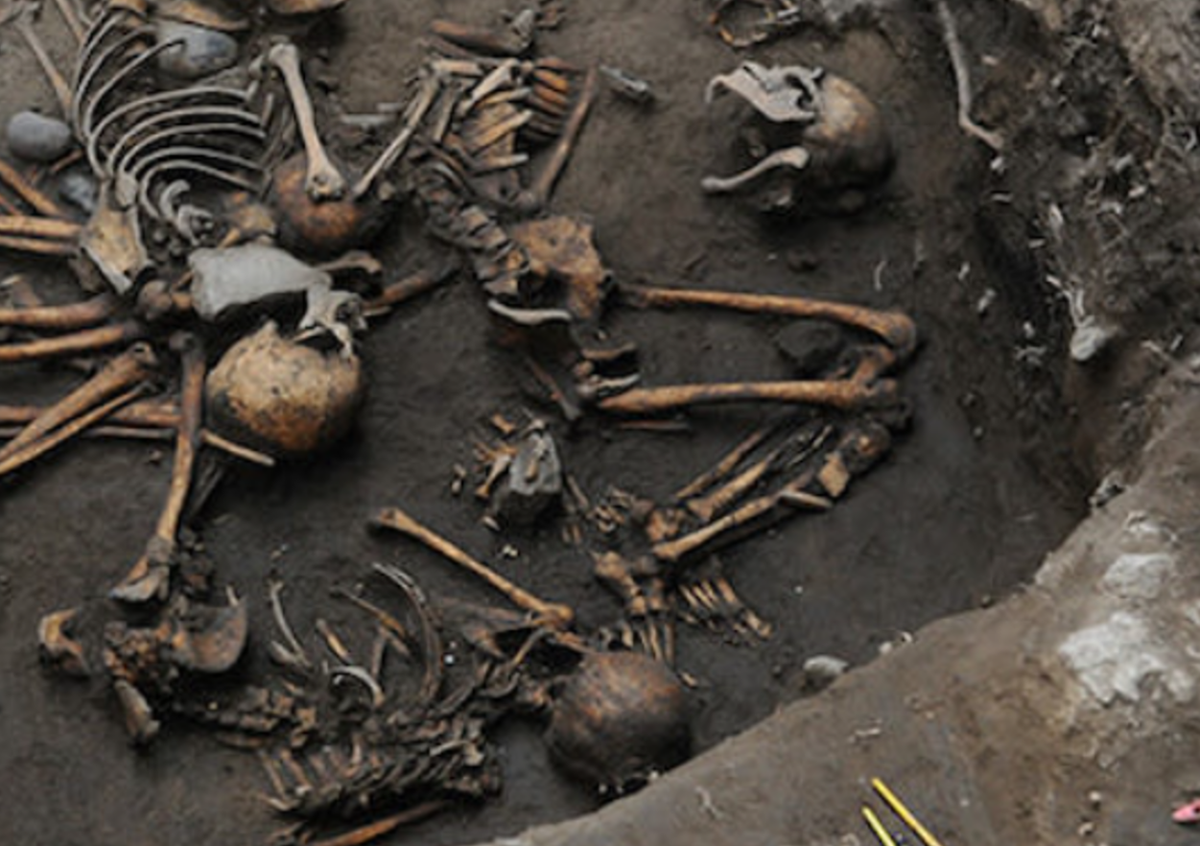Tạm thời, các chuyên gia xác định có các bộ hài cốt thuộc về người lớn, trẻ em và trẻ sơ sinh, có cả bộ hài cốt nam lẫn nữ. Ảnh: @Viện Nhân chủng học và Lịch sử Quốc gia Mexico.