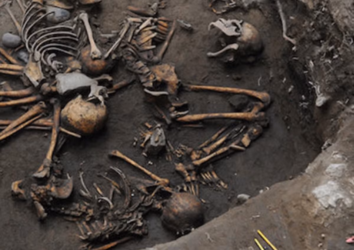 Tạm thời, các chuyên gia xác định có các bộ hài cốt thuộc về người lớn, trẻ em và trẻ sơ sinh, có cả bộ hài cốt nam lẫn nữ. Ảnh: @Viện Nhân chủng học và Lịch sử Quốc gia Mexico.