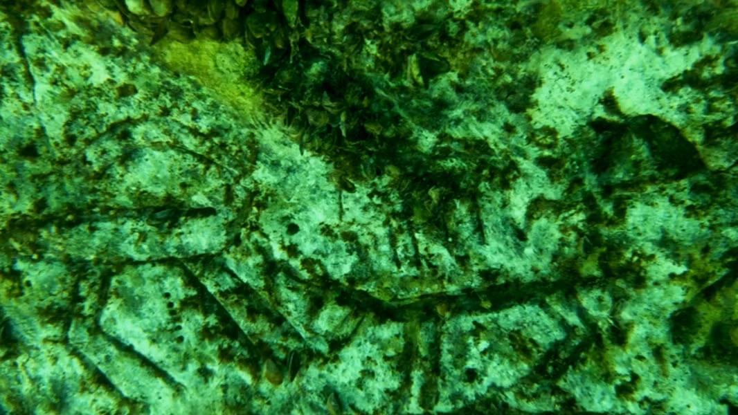 Bức chạm khắc nằm trên khối đá chính dọc theo bờ đập Atatürk ở quận Kahta, thuộc Thời Kỳ Đồ Đá Mới, mô tả cảnh săn bắt cách điệu giữa con người và động vật. Ảnh: @Bảo tàng Adıyaman.