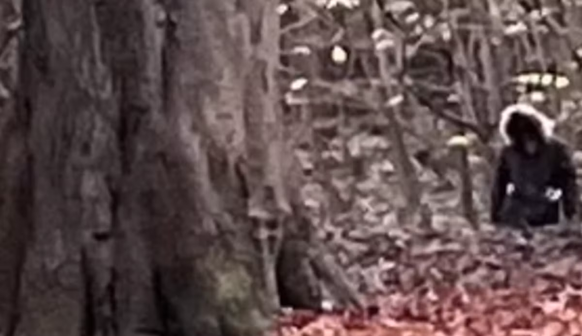 Một số người hoài nghi cho rằng, đó có thể là một người đàn ông mặc áo khoác và đeo găng tay trắng, nhưng Philip Kinsella không tin điều đó. “Người này rất cao lớn, cao ít nhất khoảng 2,4 mét. Người này đứng gần cái cây. Khuôn mặt có vẻ góc cạnh, nhưng bị che khuất hoàn toàn. Có điều gì đó… không ổn”, Philip Kinsella chia sẻ thêm. Ảnh: @Philip Kinsella.