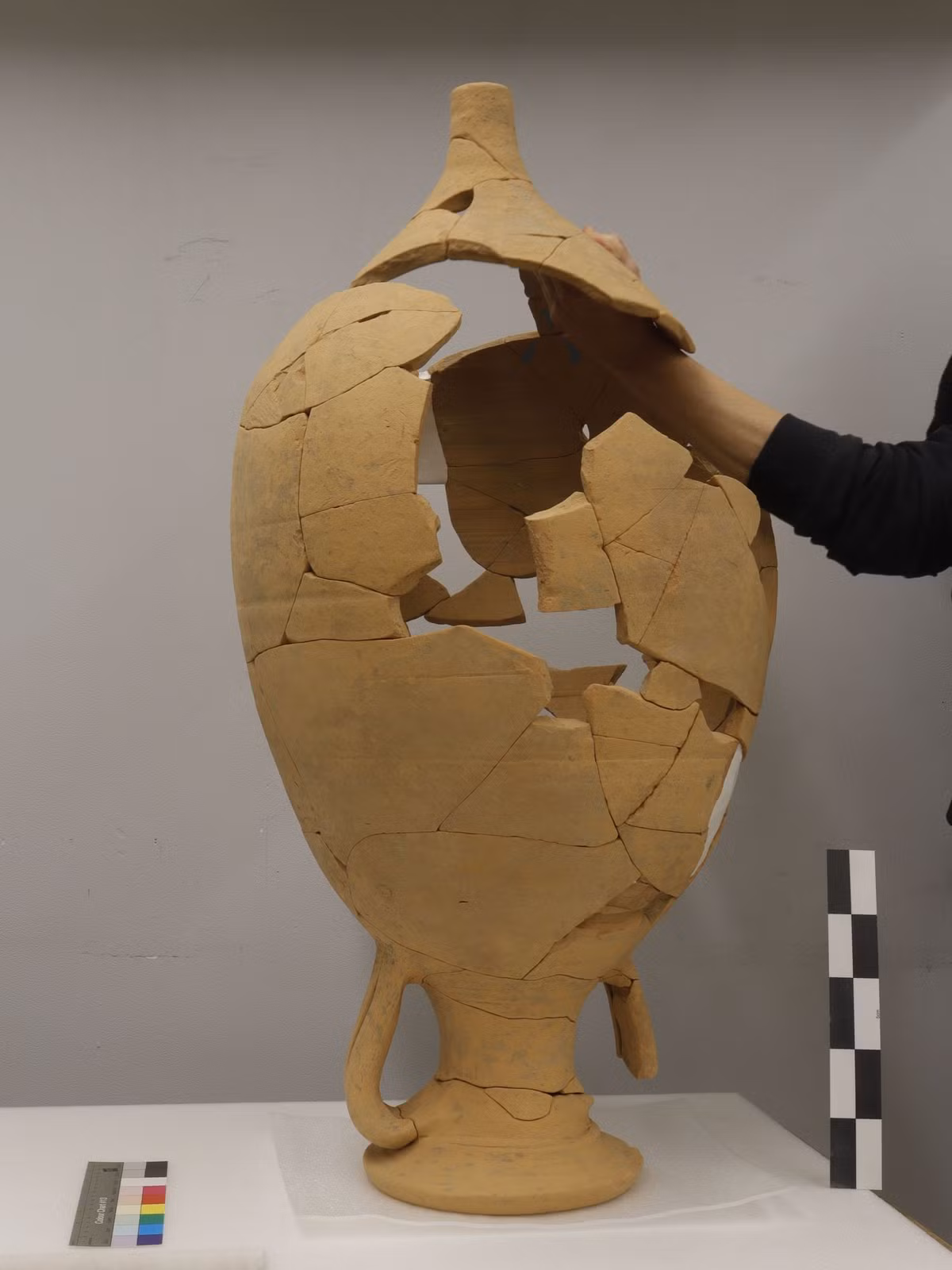 Các kỹ thuật thăm dò, phân tích khảo cổ học chuyên sâu cho thấy, đó là một chiếc bình amphora cổ. Ảnh: @Đại học Basel.