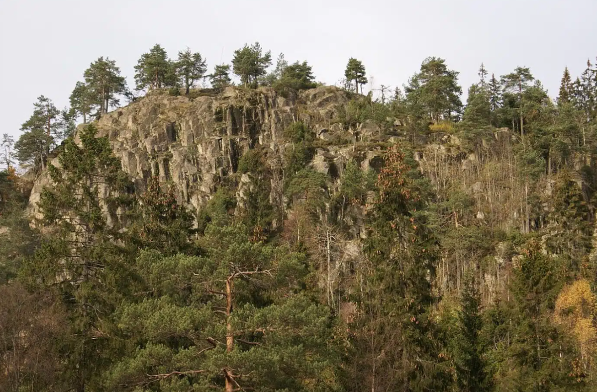 Phát hiện này đến một cách bất ngờ. Tormod Fjeld, một người săn tìm các hình khắc trên đá giàu kinh nghiệm, đang lái xe đưa con gái mình đi qua khu vực đó thì ông nhận thấy những dấu vết mờ nhạt trên một bề mặt đá lộ thiên. Ảnh: @Tormod Fjeld.