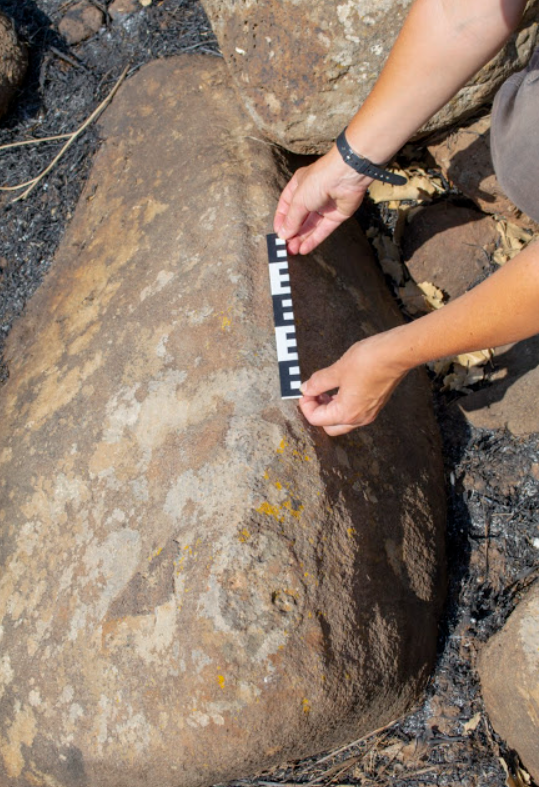 Công trình cự thạch này được xây dựng từ những tảng đá thô, mỗi tảng nặng hàng trăm kilôgam. Ảnh: @Trung tâm Khảo cổ Địa Trung Hải Ba Lan (CAŚ).