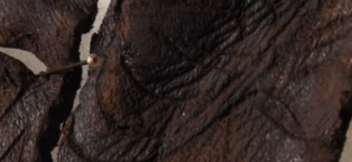 Văn phòng Văn hóa Jura cho biết trong một tuyên bố rằng, chiếc giày này thuộc về một đứa trẻ khoảng 12 tháng tuổi. Ảnh: @Văn phòng Văn hóa Jura.