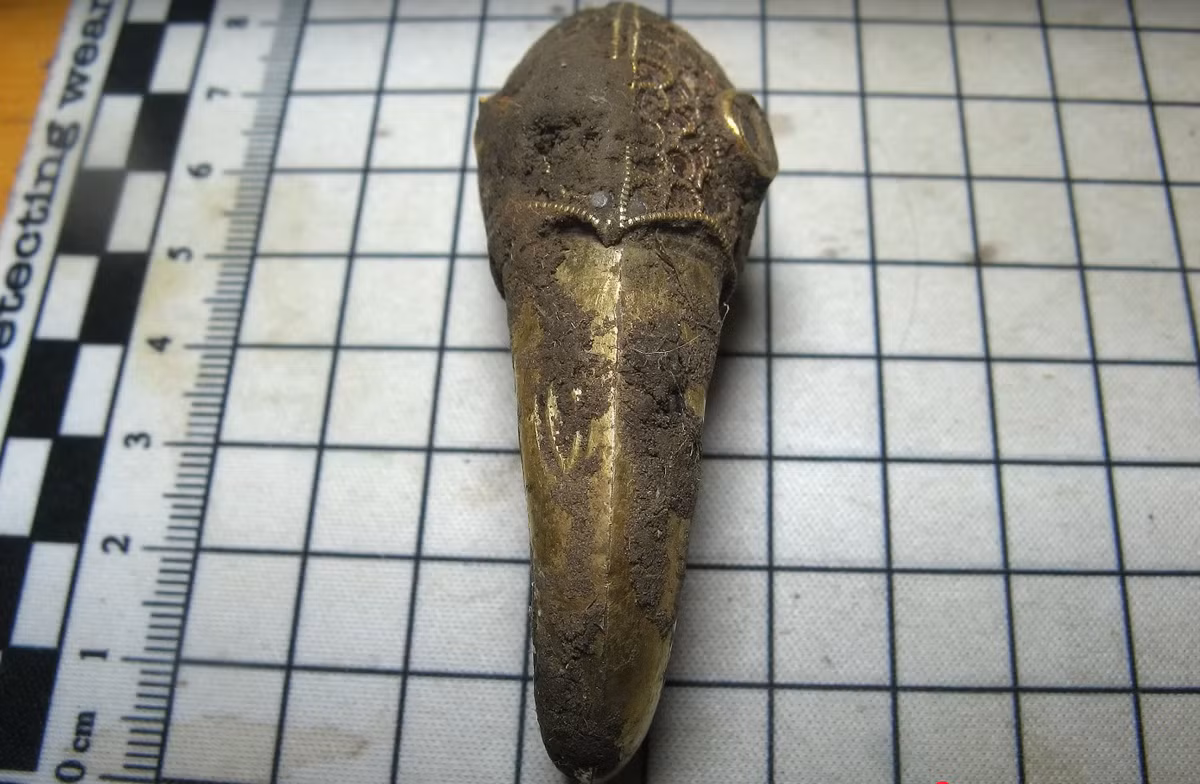 Tổ chức Chương trình Cổ vật Di động ở vùng tây nam nước Anh công nhận, đầu quạ này là một hiện vật ngoạn mục cổ xưa có tầm quan trọng cấp quốc gia, và thậm chí có thể là quốc tế. Ảnh: @Chris Phillips.