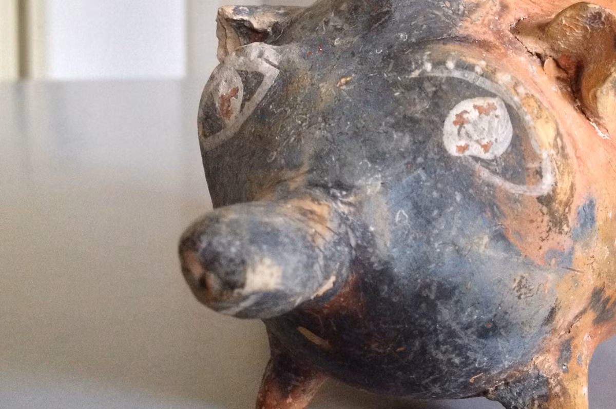 Được phát hiện còn nguyên vẹn, chiếc bình sữa hình heo có đôi tai vểnh nhọn, mắt tròn to với hàng mi dài thể hiện qua viền vẽ sơn màu trắng. Chiếc mõm thon dài được châm lỗ li ti ở đầu cuối, có thể là nơi để em bé bú sữa. Ảnh: @Cơ quan Giám sát Khảo cổ Puglia.