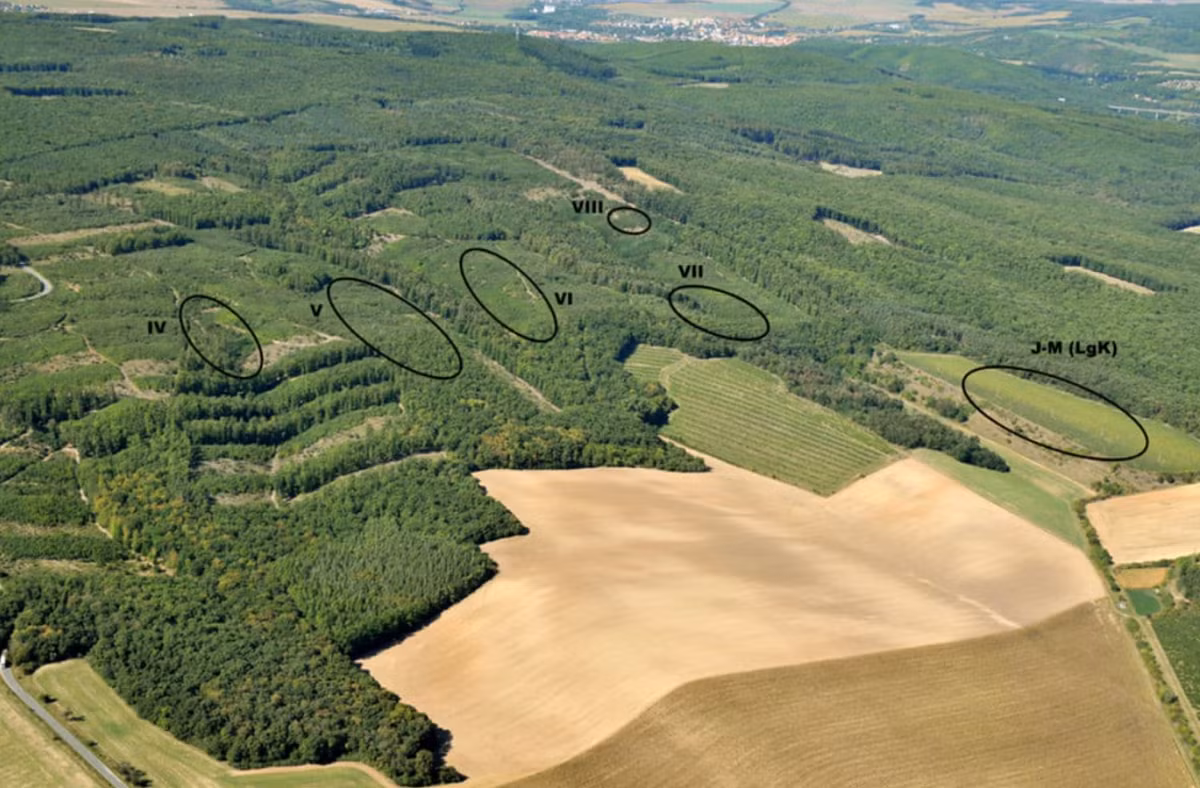 Một nhóm các nhà nghiên cứu người Séc đã phát hiện ra hài cốt của hai người phụ nữ, bộ hài cốt một đứa trẻ sơ sinh nằm trên ngực, kèm theo hài cốt của một con chó nhỏ. Ảnh: @ J.Vondra.