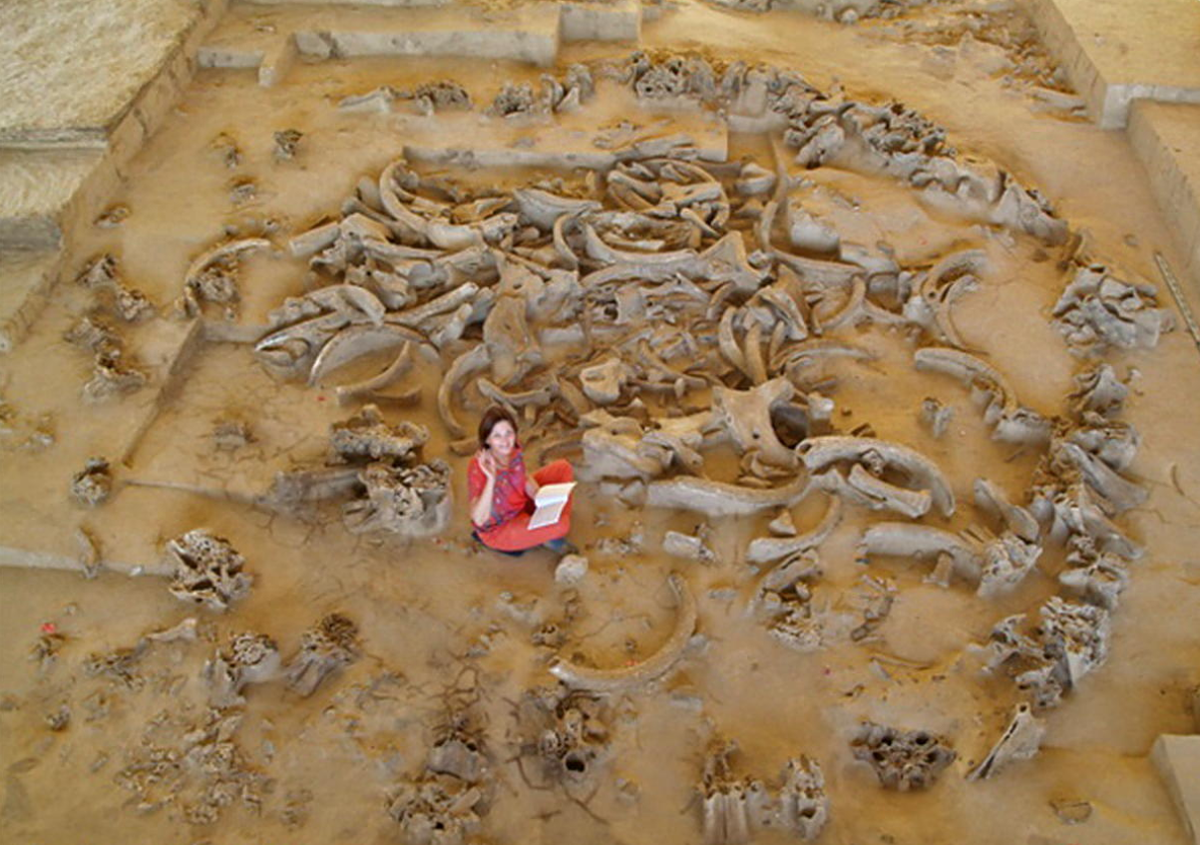 Trong công trình khai quật này, một nhóm các nhà nghiên cứu đến từ Viện Hàn lâm Khoa học Áo đã phát hiện ra xương của ít nhất năm con voi ma mút có niên đại khoảng 25.000 năm tuổi. Ảnh: @Viện Hàn lâm Khoa học Áo.