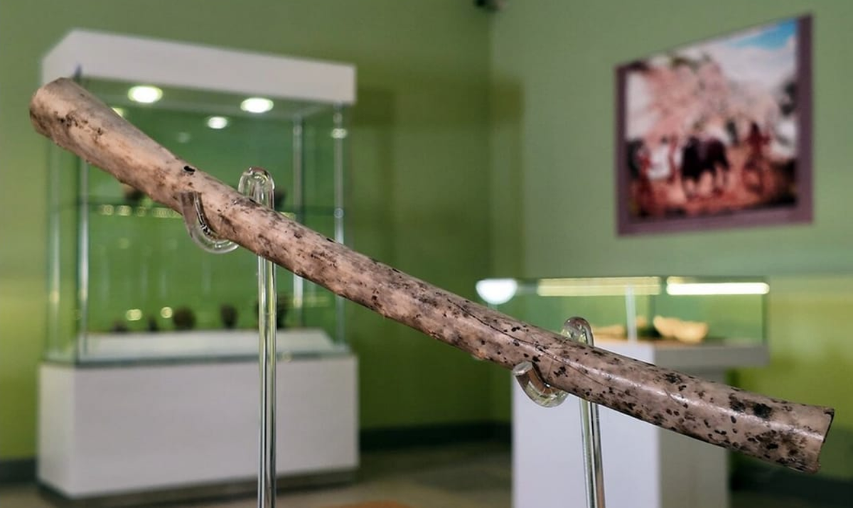 Các kỹ thuật phân tích, thăm dò khảo cổ chuyên sâu hơn cho thấy, chiếc sáo này là từ xương của một loài chim di cư lớn. Ảnh: @Bảo tàng Quốc gia Iran.