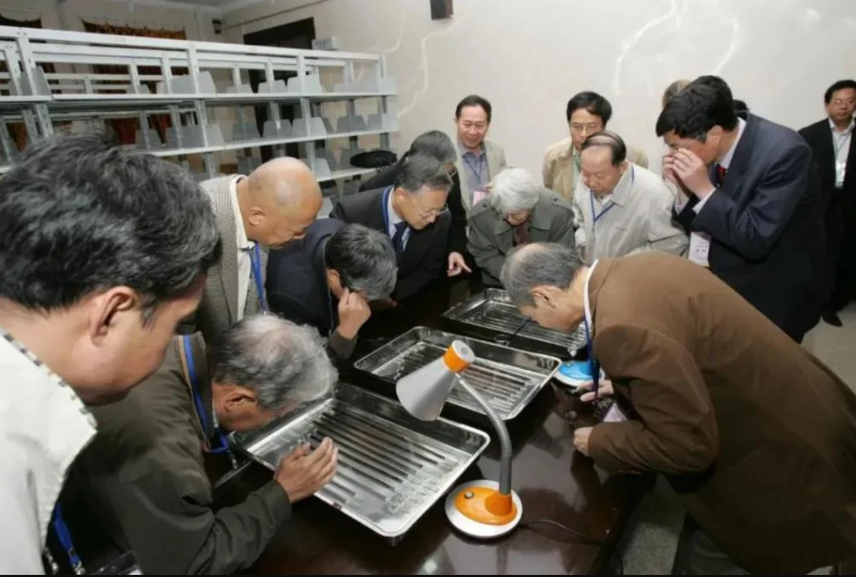 Tại một bộ sưu tập cổ lớn tại Đại học Thanh Hoa, các chuyên gia đã tìm thấy văn bản trên tre có niên đại hơn 2.000 năm tuổi. Ảnh: @Tbatb.