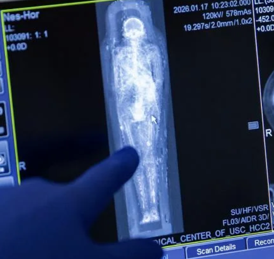 Những mô hình này cho thấy các chi tiết vật lý tinh tế, bao gồm mí mắt, môi và cấu trúc xương trên khuôn mặt. Ảnh: @Đại học Nam California.