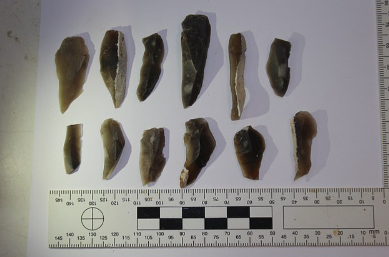 Các chuyên gia khai quật cũng đã tìm thấy bằng chứng về hài cốt động vật, đồ gốm, dụng cụ cắt được chôn theo trong nghĩa trang này. Ảnh: @Bảo tàng Quốc gia Anh.