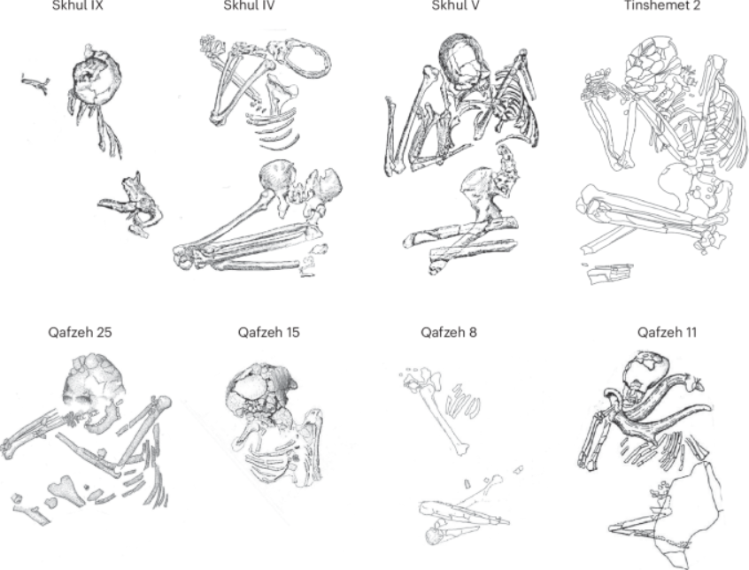 Tại hiện trường, họ đã tìm thấy bộ xương của ít nhất hai cá thể, một người lớn và một đứa trẻ, cùng với ba hộp sọ và các xương người khác. Ảnh: @Đại học Tel Aviv.