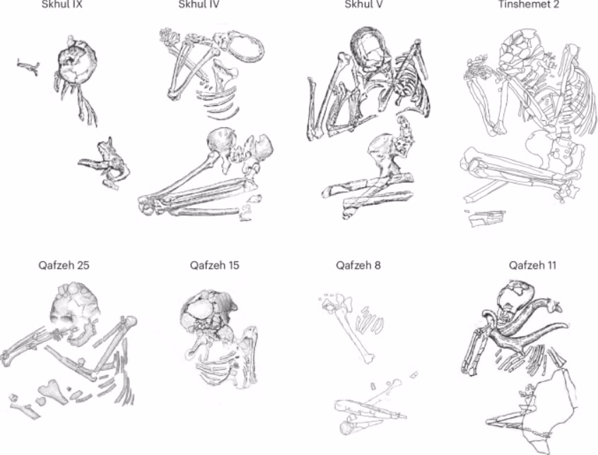 Tại hiện trường, họ đã tìm thấy bộ xương của ít nhất hai cá thể, một người lớn và một đứa trẻ, cùng với ba hộp sọ và các xương người khác. Ảnh: @Đại học Tel Aviv.