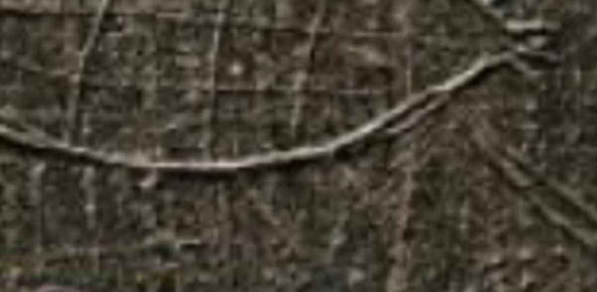 Phân tích dòng chữ Aram khắc cho thấy, nó có niên đại từ năm 850 Trước Công Nguyên đến năm 800 Trước Công Nguyên, khiến nó trở thành dòng chữ Aram cổ nhất từng được tìm thấy. Câu thần chú bằng dòng chữ Aram này được thực hiện bởi một người đàn ông tên là Rahim, con trai của Shadadan. Ảnh: @Cơ Quan Cổ Vật Thổ Nhĩ Kỳ.