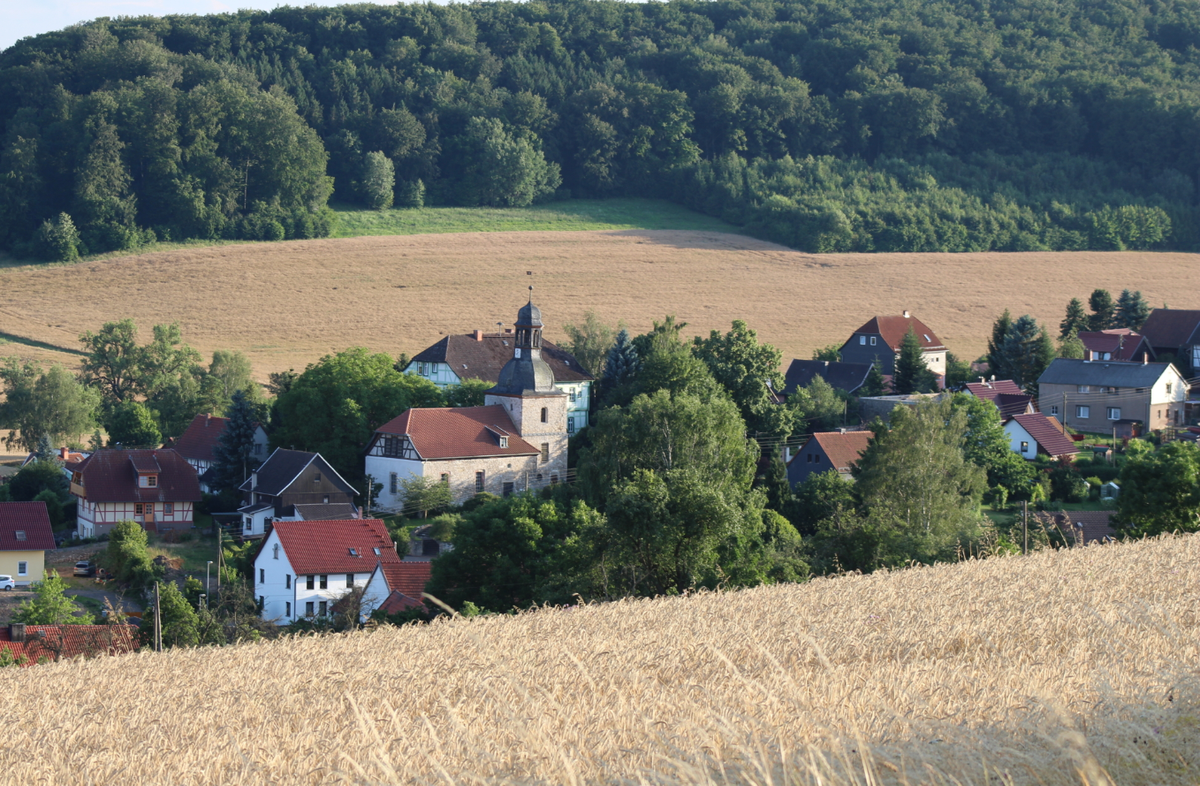 Trong lúc đang dạo bước ở khu rừng gần Gudersleben, ở Thuringia, nước Đức, người đàn ông tên là Maik Böhner cùng hai cậu con trai đột nhiên nhận thấy một vật gì đó màu xanh lục lóe lên từ mặt đất. Ảnh: @Văn phòng Bảo tồn Di tích và Khảo cổ học bang Thuringia.
