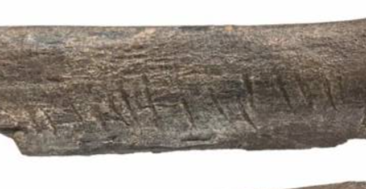 Nói cách khác, rõ ràng là các hình khắc được tạo ra một cách có chủ ý, chứ không phải là kết quả của một hoạt động vô tình ngẫu nhiên. Các hình khắc này được tạo ra chỉ nhằm mục đích thẩm mỹ. Ảnh: @T. Gąsior, Płonka và cộng sự.