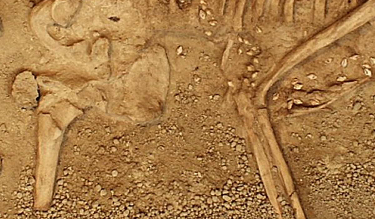 Mặc dù các nhà nghiên cứu đã tái tạo lại thiết kế của bộ trang phục, nhưng phần lớn cơ thể đã bị mất. Hộp sọ và hầu hết chân, bàn tay đã biến mất. Ảnh: @Đại học Bordeaux Montaigne.