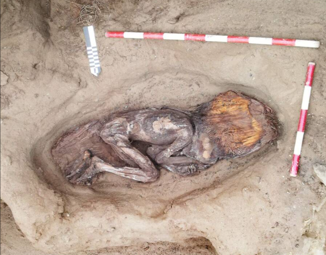 Thi thể của bà được bảo quản trong tình trạng đáng kinh ngạc, với hầu hết da, tóc và móng tay vẫn còn nguyên vẹn. Ảnh: @Bộ Văn Hóa Peru.