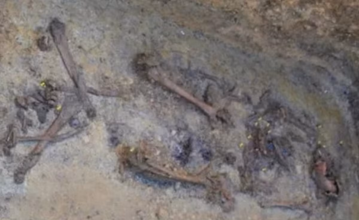 Theo các đánh giá nhân chủng học sơ bộ, người mất là một phụ nữ ở độ tuổi từ 40 đến 50. Ảnh: @Văn phòng Bảo vệ Di tích Bang Bavaria.