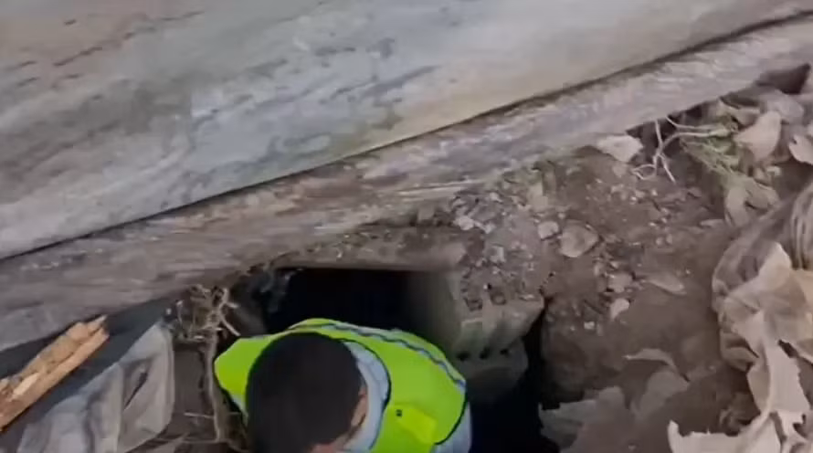 Bức tranh khảm này nằm sâu 2 mét dưới lòng đất và được bịt kín nằm bên dưới một khối bê tông. Ảnh: @Bảo tàng Mardin.